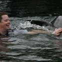 Dolphins Plus August 2006